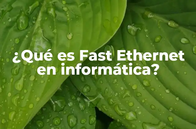 ¿qué es Fast Ethernet en Informática?