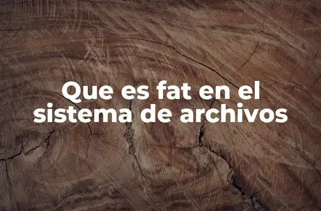 Que es Fat en el Sistema de Archivos