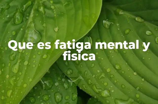 Que es Fatiga Mental y Fisica