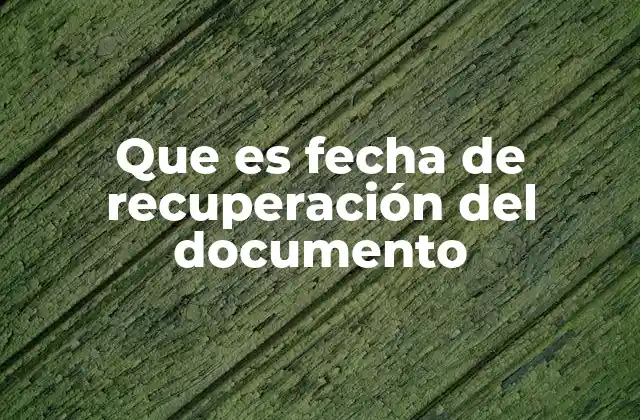 Que es Fecha de Recuperación Del Documento