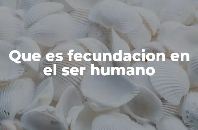 Que es Fecundacion en el Ser Humano