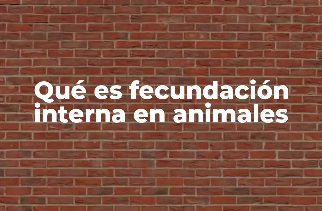 Qué es Fecundación Interna en Animales