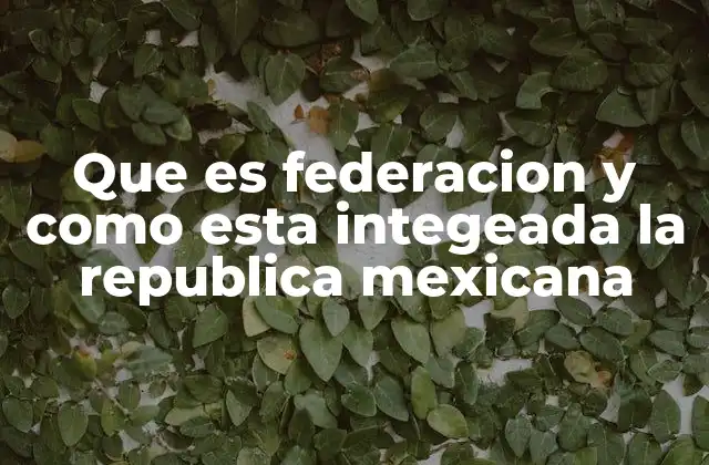 Que es Federacion y como Esta Integeada la Republica Mexicana