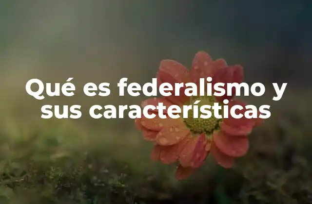 Qué es Federalismo y Sus Características