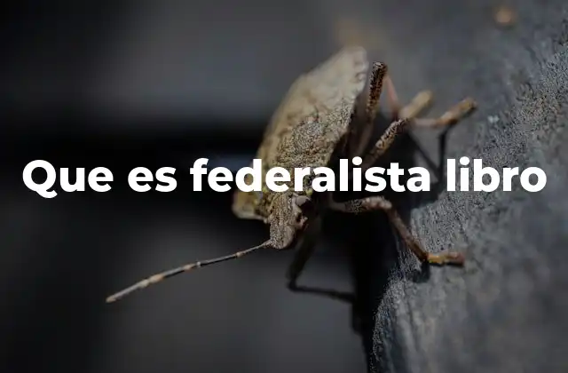 Que es Federalista Libro