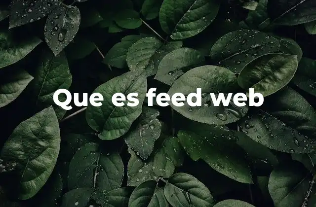 Que es Feed Web
