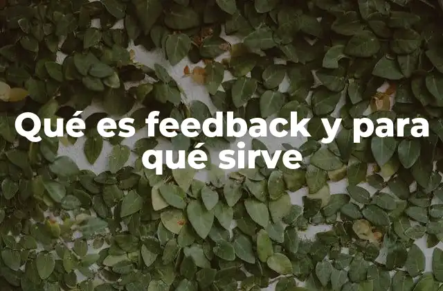 La importancia de la retroalimentación en el crecimiento personal y profesional