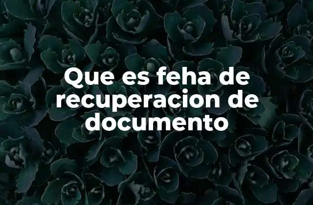 Que es Feha de Recuperacion de Documento