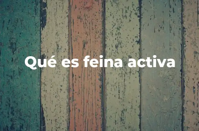Qué es Feina Activa
