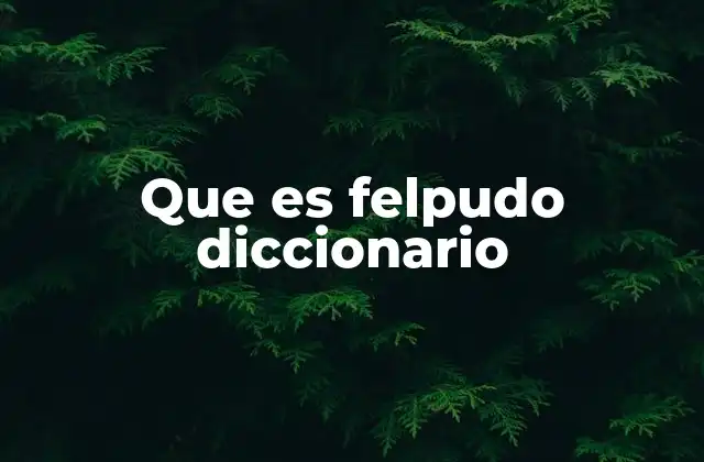 Que es Felpudo Diccionario