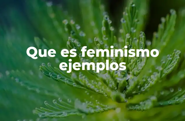 Que es Feminismo Ejemplos