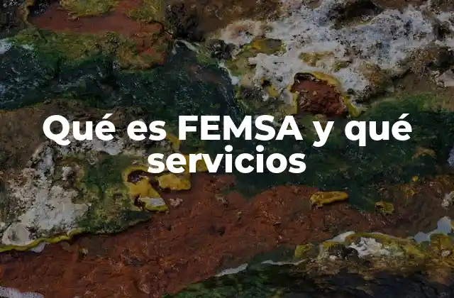 Qué es Femsa y Qué Servicios