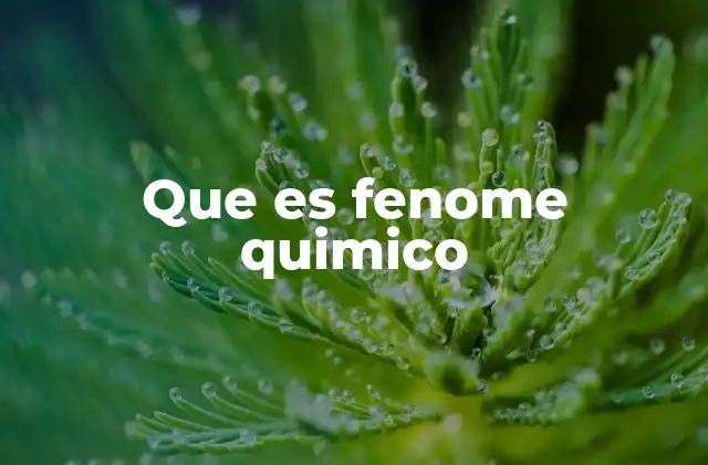 Que es Fenome Quimico