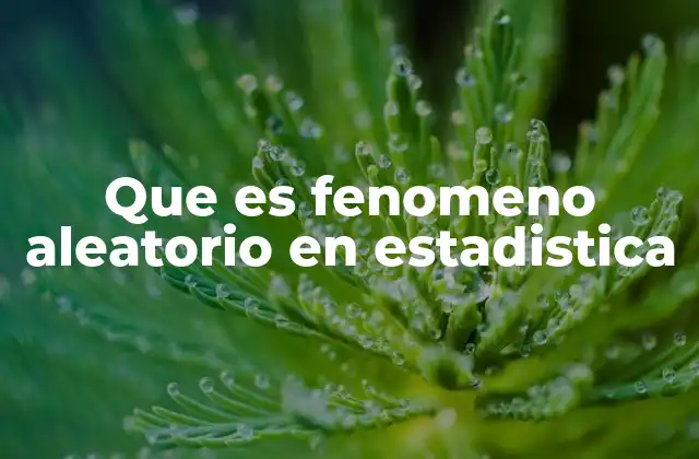Que es Fenomeno Aleatorio en Estadistica