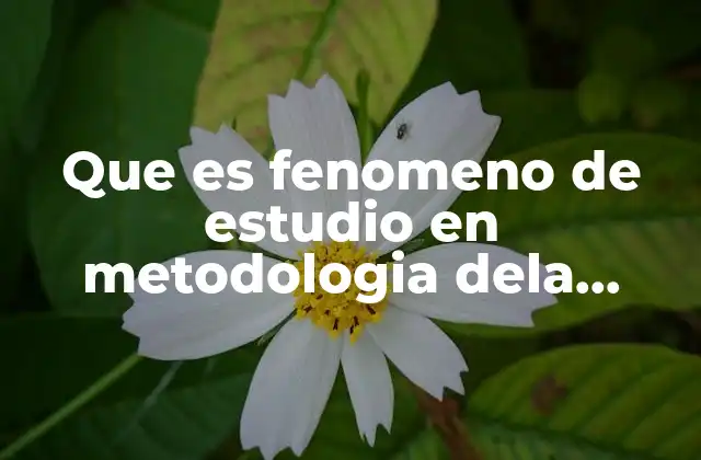 Que es Fenomeno de Estudio en Metodologia Dela Investigacion