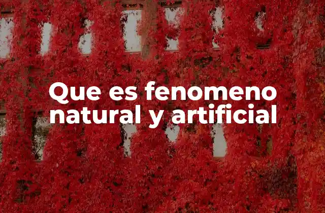 Que es Fenomeno Natural y Artificial