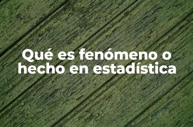 Qué es Fenómeno o Hecho en Estadística