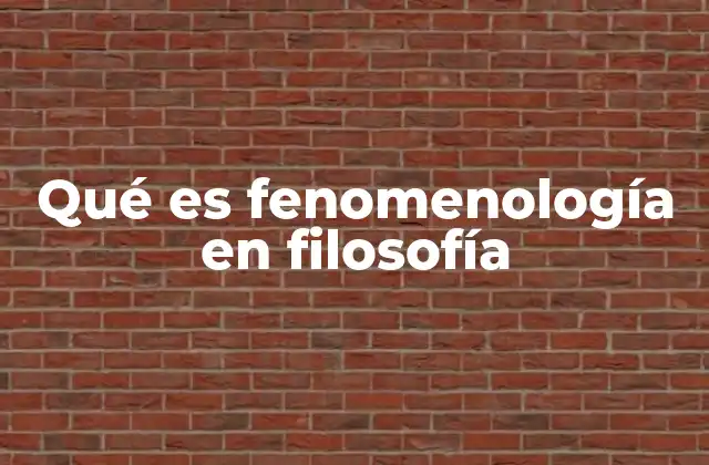 Qué es Fenomenología en Filosofía