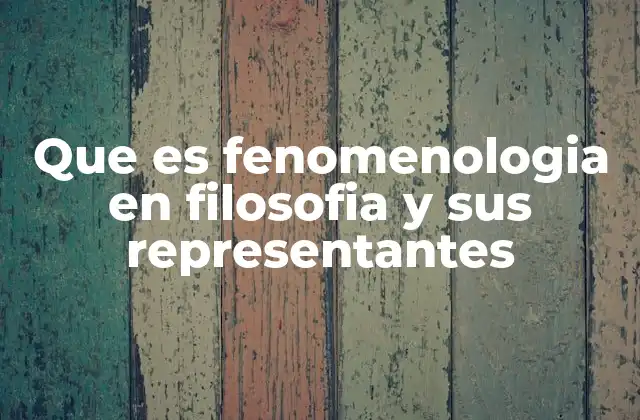 Que es Fenomenologia en Filosofia y Sus Representantes