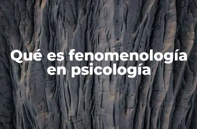 Qué es Fenomenología en Psicología