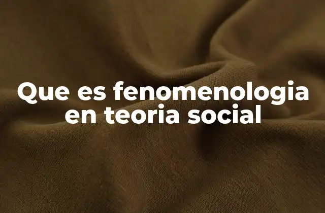 Que es Fenomenologia en Teoria Social
