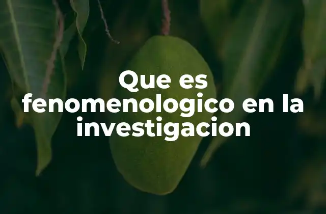 Que es Fenomenologico en la Investigacion 2 La importancia del enfoque fenomenológico en la metodología cualitativa