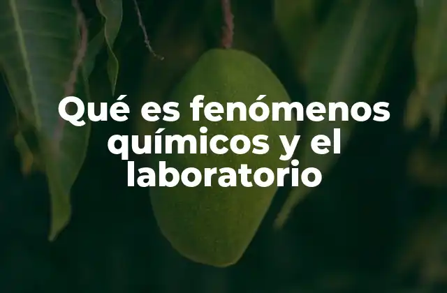 Qué es Fenómenos Químicos y el Laboratorio