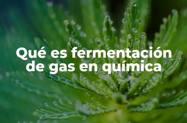 Qué es Fermentación de Gas en Química