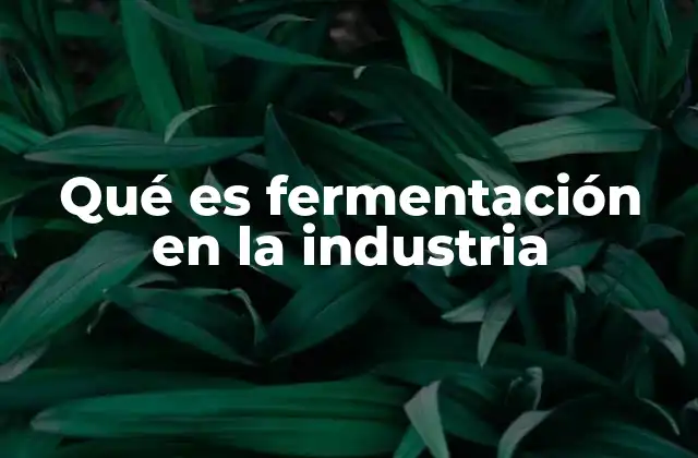 Qué es Fermentación en la Industria