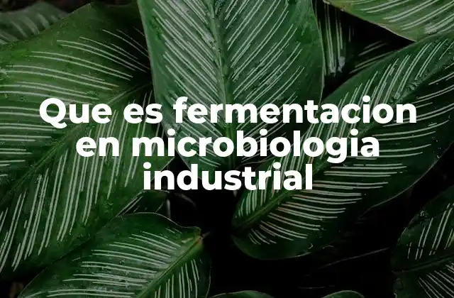 Que es Fermentacion en Microbiologia Industrial
