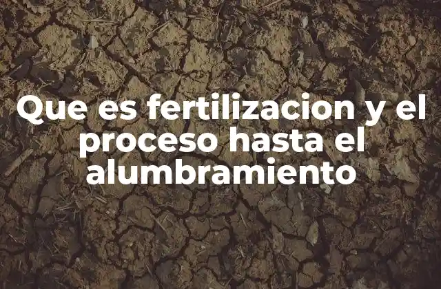 Que es Fertilizacion y el Proceso hasta el Alumbramiento