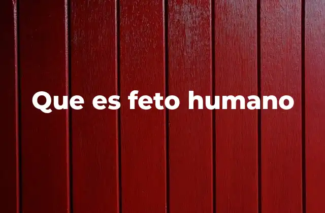 Que es Feto Humano 2 El desarrollo del ser humano antes del nacimiento