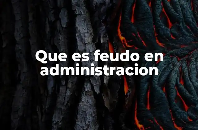 Que es Feudo en Administracion