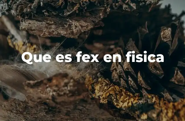 Que es Fex en Fisica