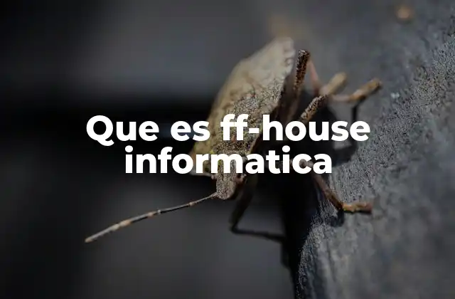 Que es Ff-house Informatica