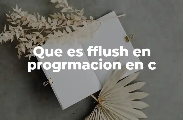 Que es Fflush en Progrmacion en C 2 Funcionamiento de los búferes en C y su relación con fflush