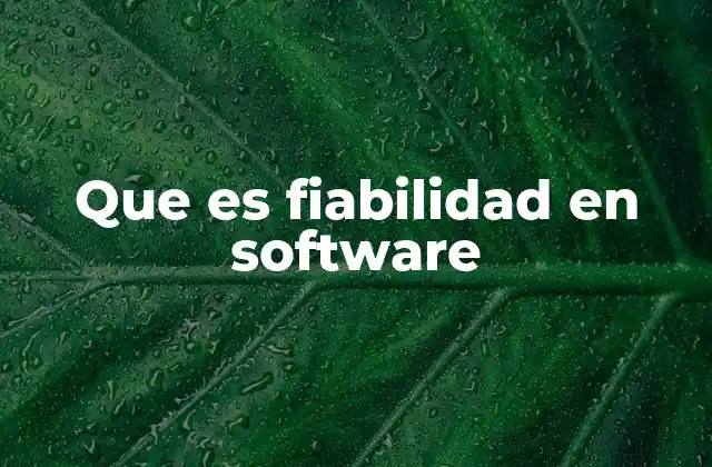 Que es Fiabilidad en Software