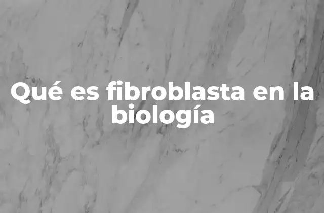 Qué es Fibroblasta en la Biología