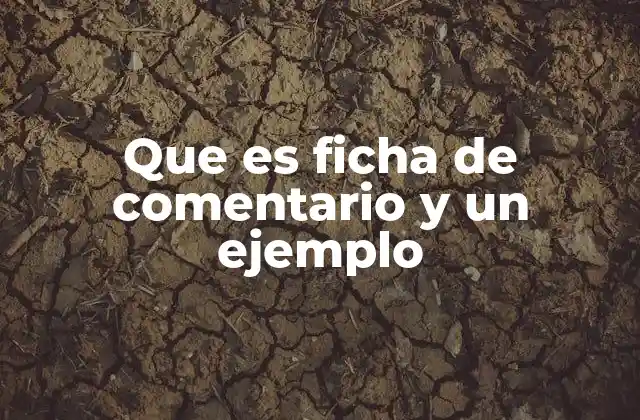 Que es Ficha de Comentario y un Ejemplo