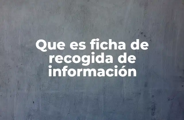 Que es Ficha de Recogida de Información 2 La importancia de organizar la información con estructura