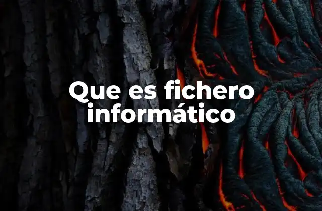 Que es Fichero Informático