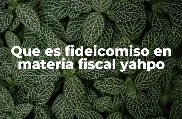Que es Fideicomiso en Materia Fiscal Yahpo