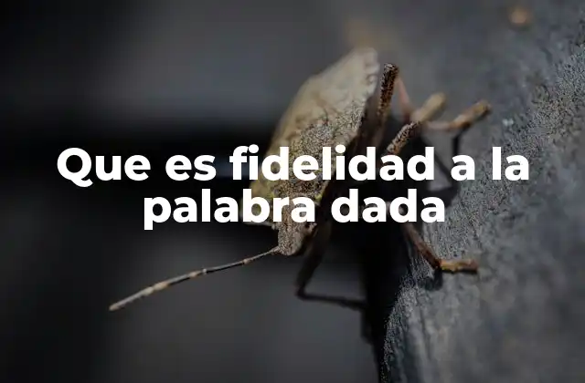 Que es Fidelidad a la Palabra Dada