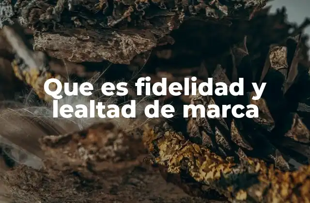 Que es Fidelidad y Lealtad de Marca 2 La importancia de construir relaciones duraderas con los clientes