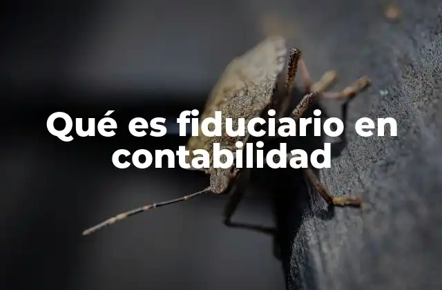 Qué es Fiduciario en Contabilidad