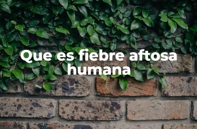 Que es Fiebre Aftosa Humana