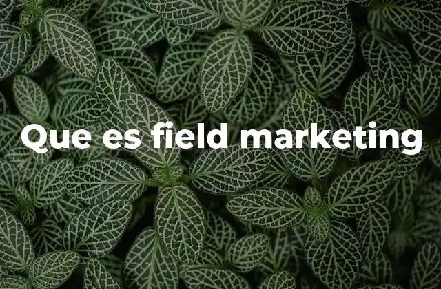 Que es Field Marketing