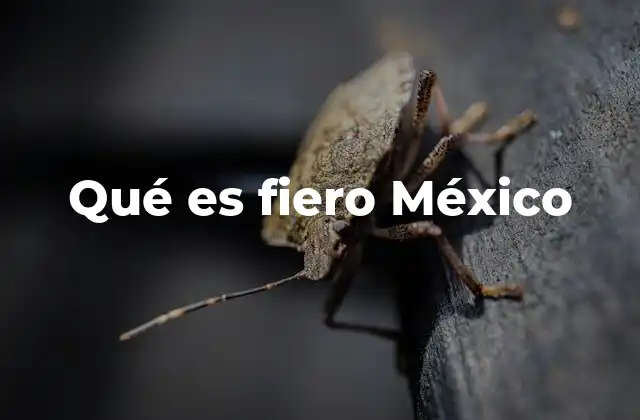 Qué es Fiero México