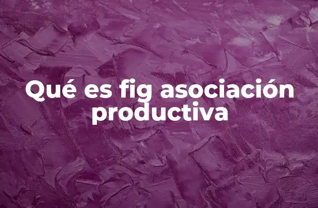Qué es Fig Asociación Productiva