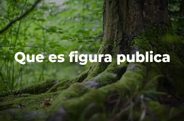 Que es Figura Publica 2 Cómo se forma una figura pública